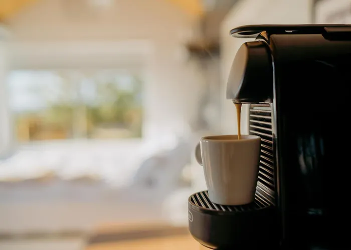 Feelmore Tiny House Case de vacanță